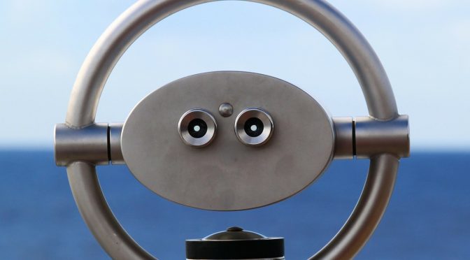 Looking (again) to Domain of One’s Own